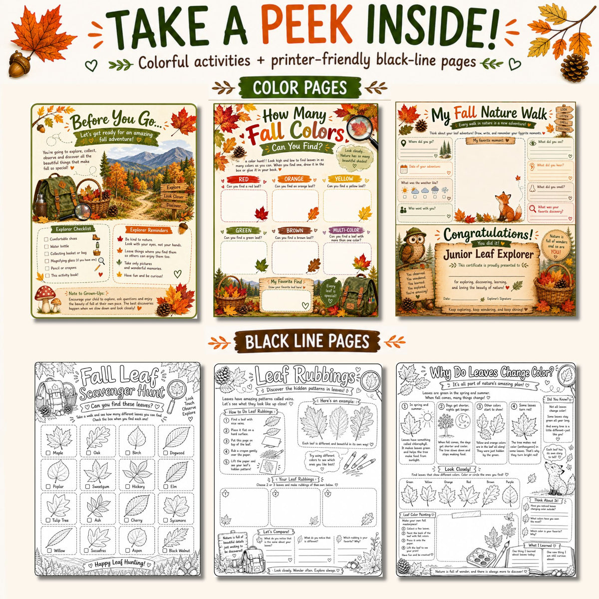 Fall Nature Walk Printable Activity Pack | Color + Blackline
