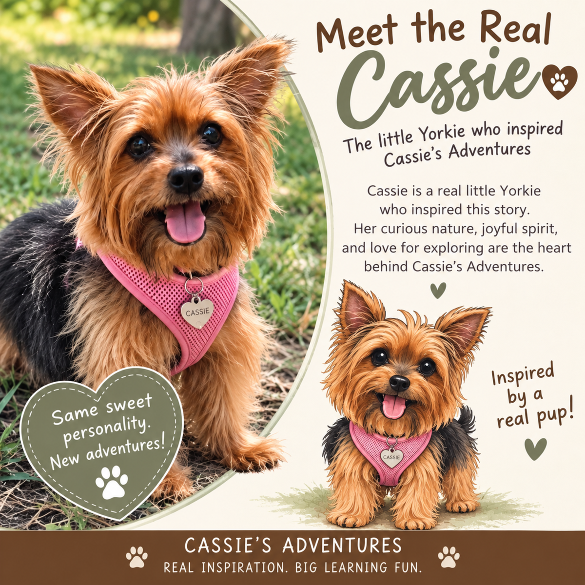 Cassie Goes to the Beach | Printable Story & Coloring Book