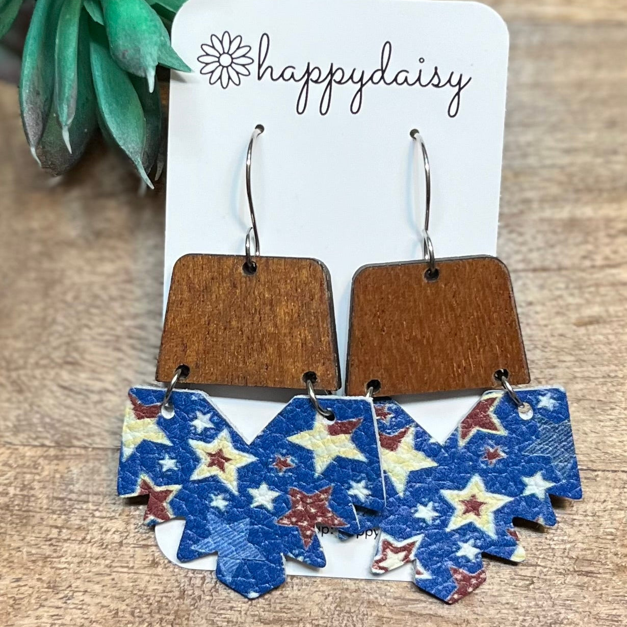 Country Stars Dakota Earrings