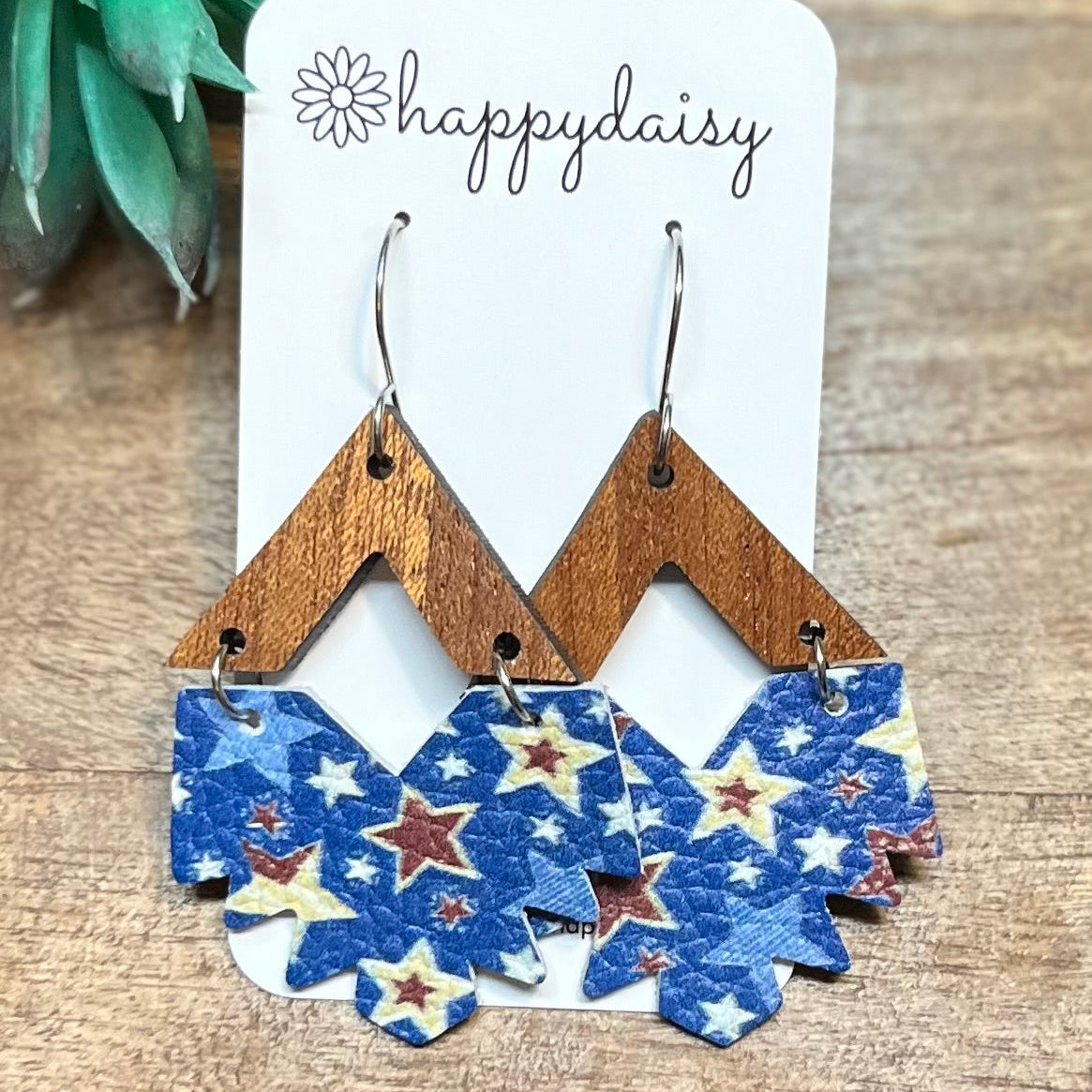 Country Stars Dakota Earrings